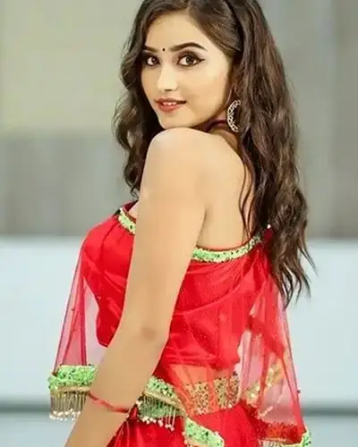 Call Girls Service Aspur