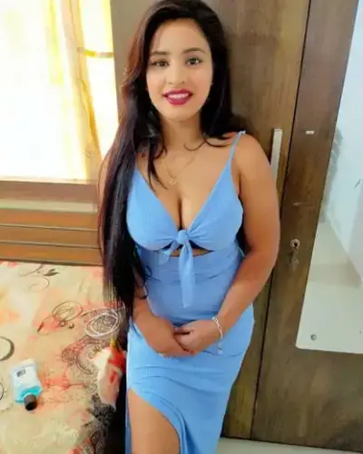 Aspur Escorts